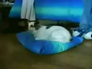 hot alte oma sex vid ...